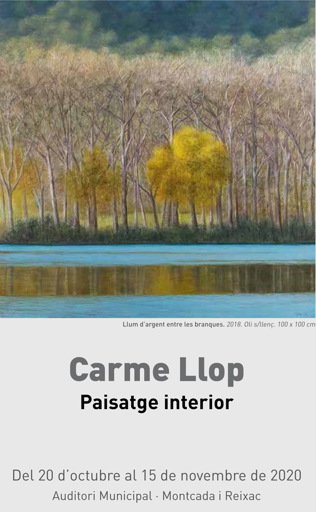 Triptic CarmeLlop Auditor2i